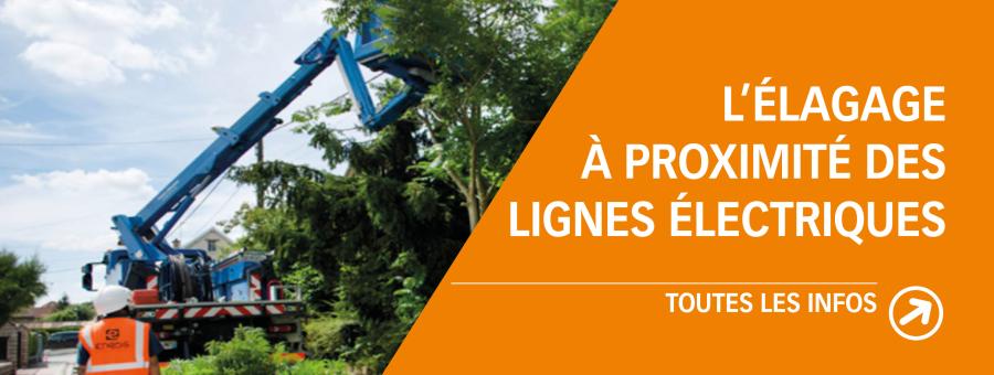 Tout savoir sur l'élagage à proximité des lignes électriques Tout savoir sur l'élagage à proximité des lignes électriques