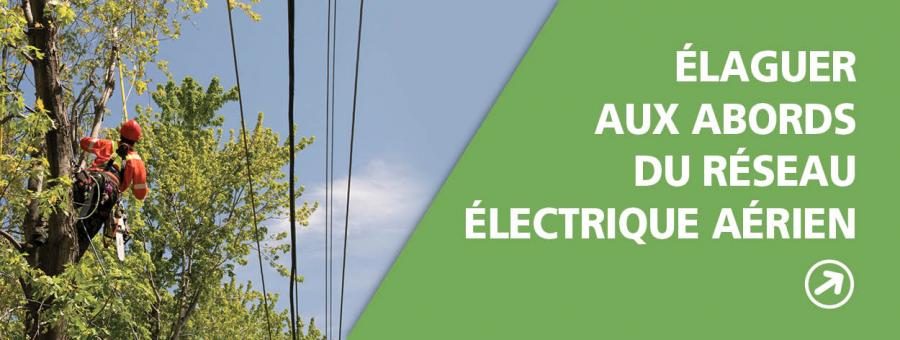 Elaguer aux abords du réseau électrique aérien