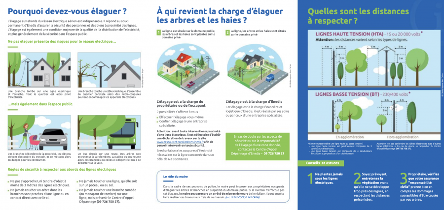 Elaguer aux abords du réseau électrique aérien