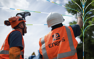 l'élagage à proximité des lignes électriques
